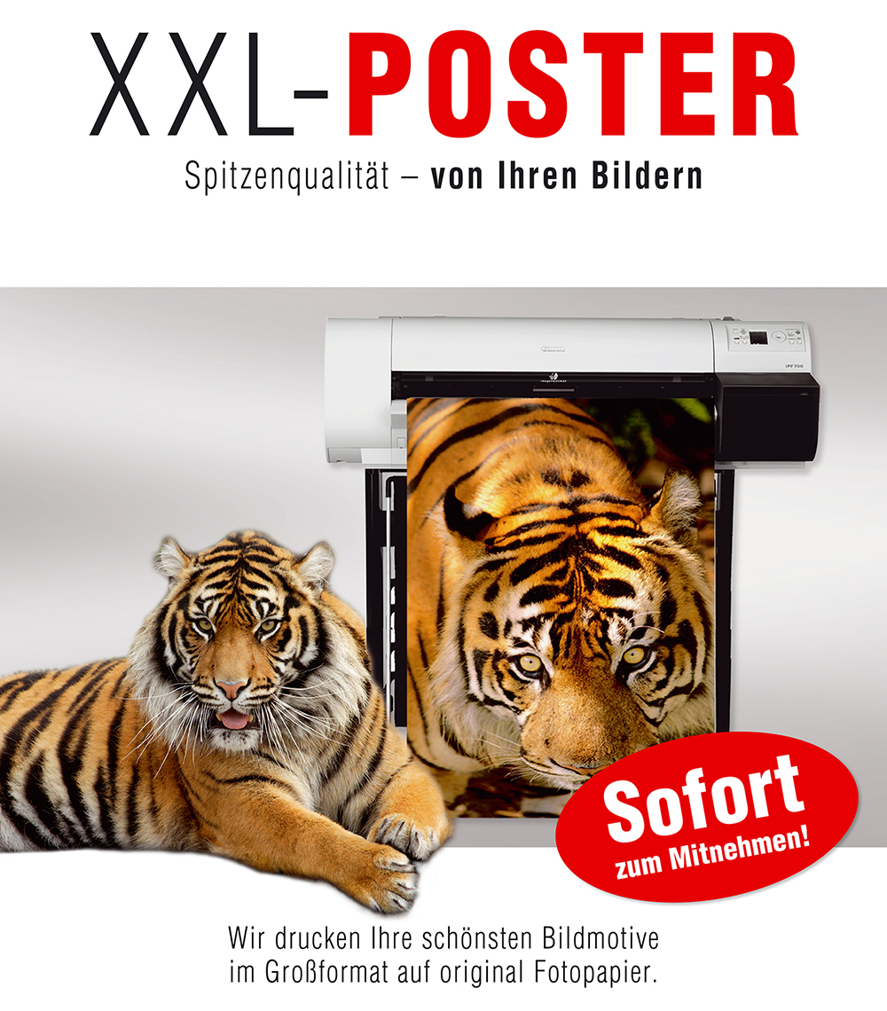 XXL - Poster - Express